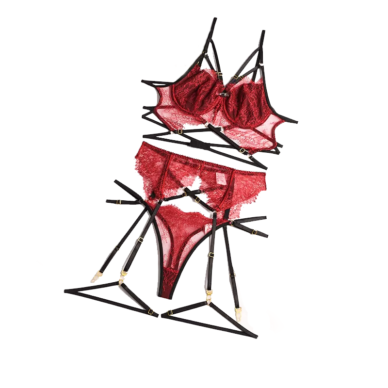 Nieuwe Kant Sexy Lingerie Tran - Lace Bralette Set recensie en prijs